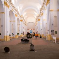 img_7769.jpg