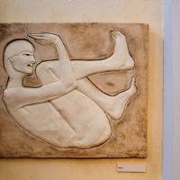 img_7784.jpg