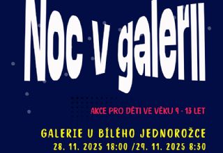 Noc v galerii V. - zrušeno