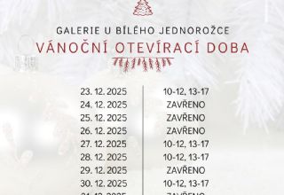 Vánoční pracovní doba v GUBJ