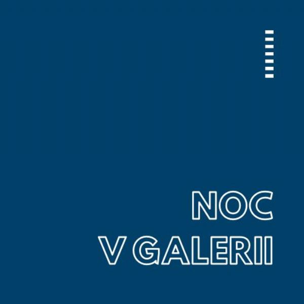 Noc v galerii