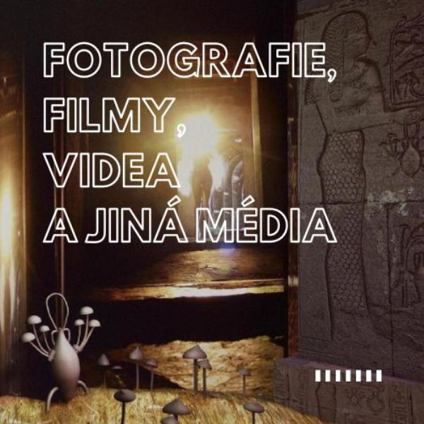 Fotografie, filmy, videa a jiná média