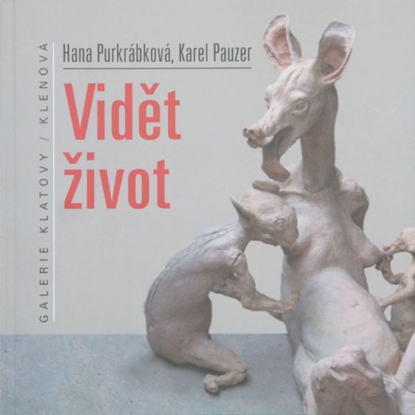 Vidět život