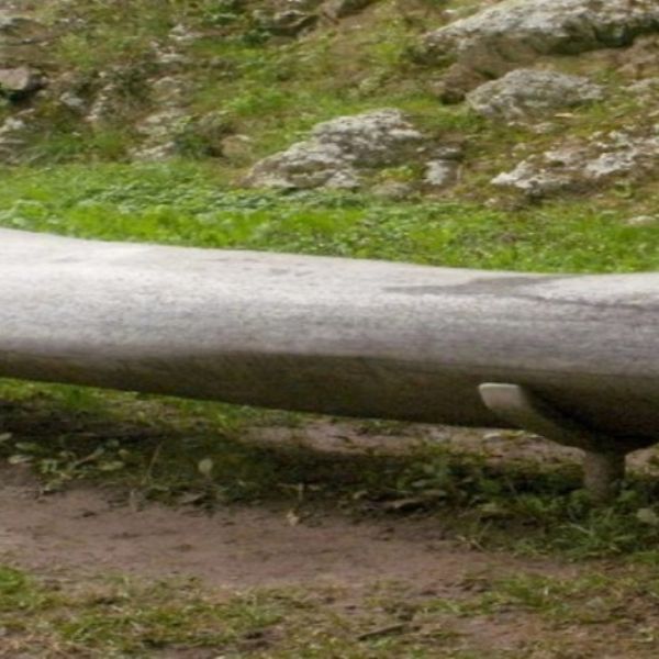 Jiří Seifert, Tělesnost, 1995