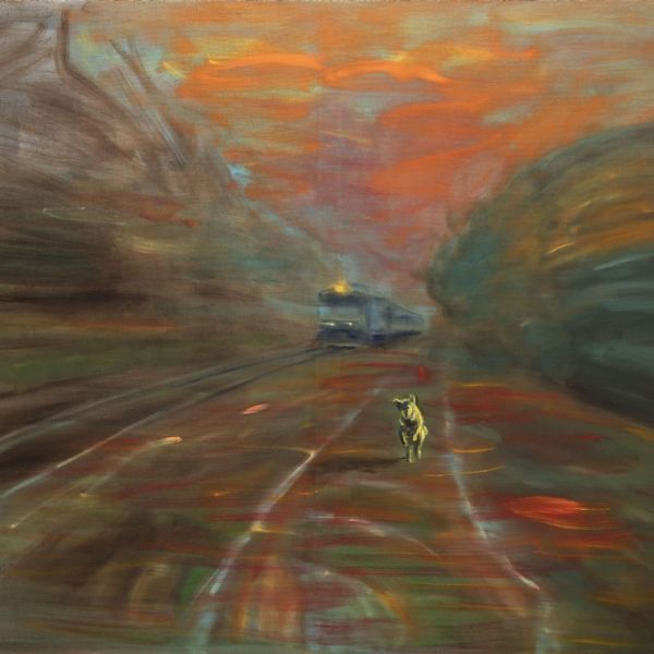 Alena Anderlová, Závod, 2006