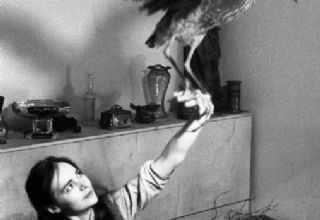 Jan Ságl, Věra s volavkou, 1969