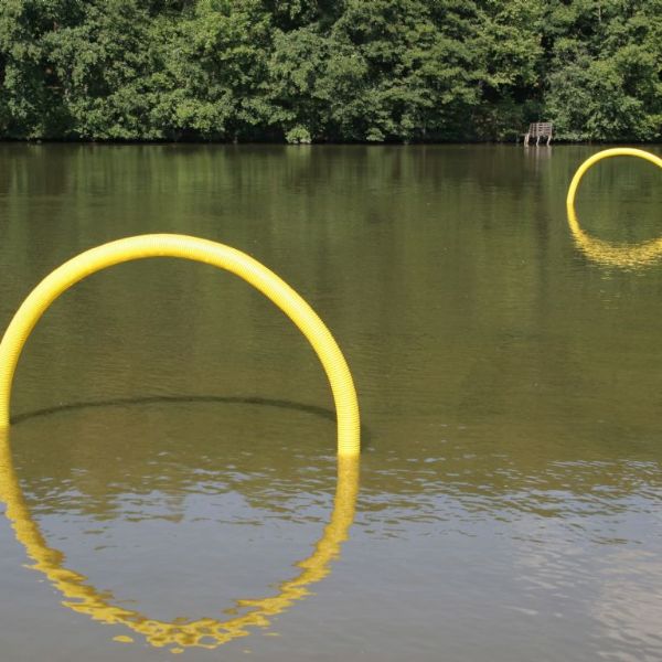 Art and Pond 2007