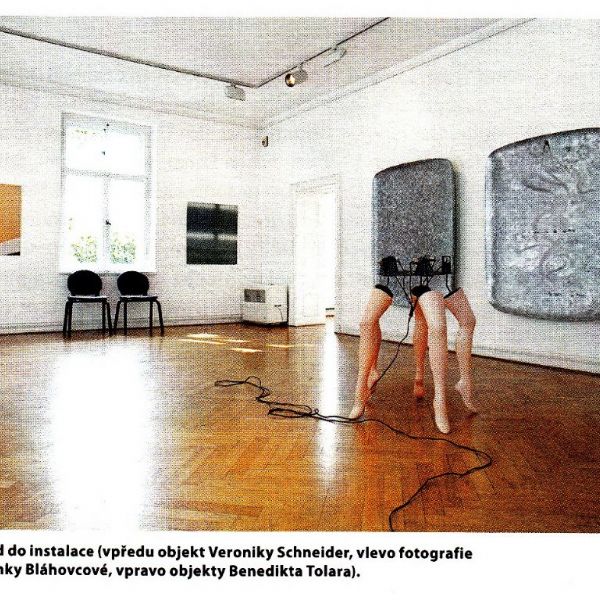 X+X 2009, Deset + deset výtvarníků Plzeňského kraje a Horní Falce