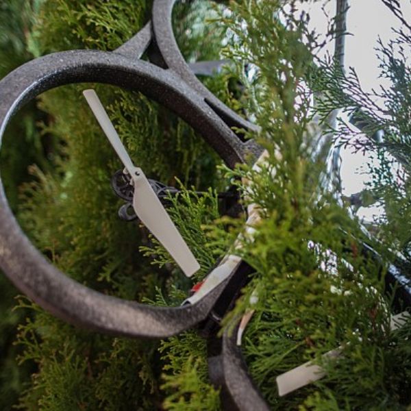 Komentovaná prohlídka výstavy Teorie chlupatého míče