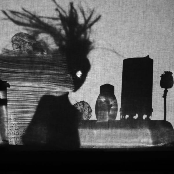 Leona Telínová / Nightmoth