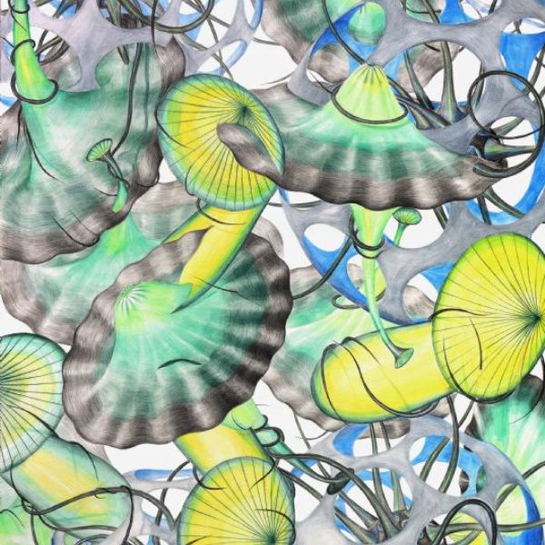Pavel Opočenský / NUCLEUS