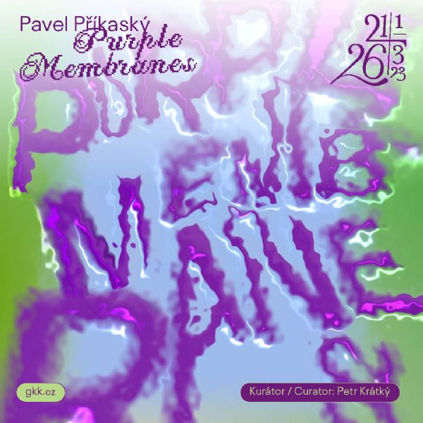 Pavel Příkaský / Purpurové membrány 