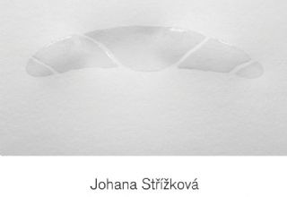 Johana Střížková / Sytý, sýr, syrový 