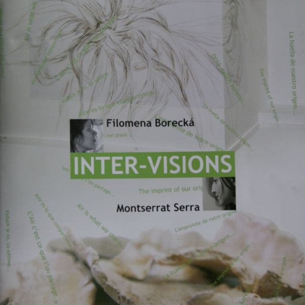 Inter - visions