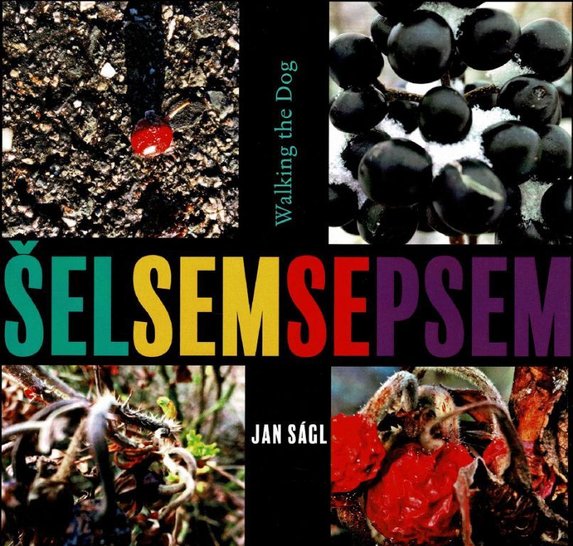 Jan Ságl / Šel sem se psem 
