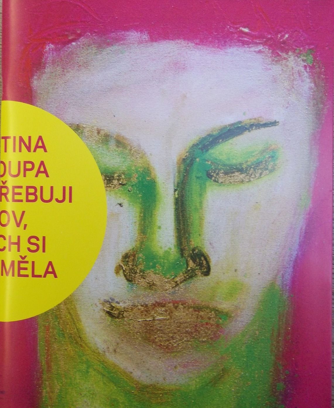 Martina Chloupa Nepotřebuji slov, abych si rozuměla