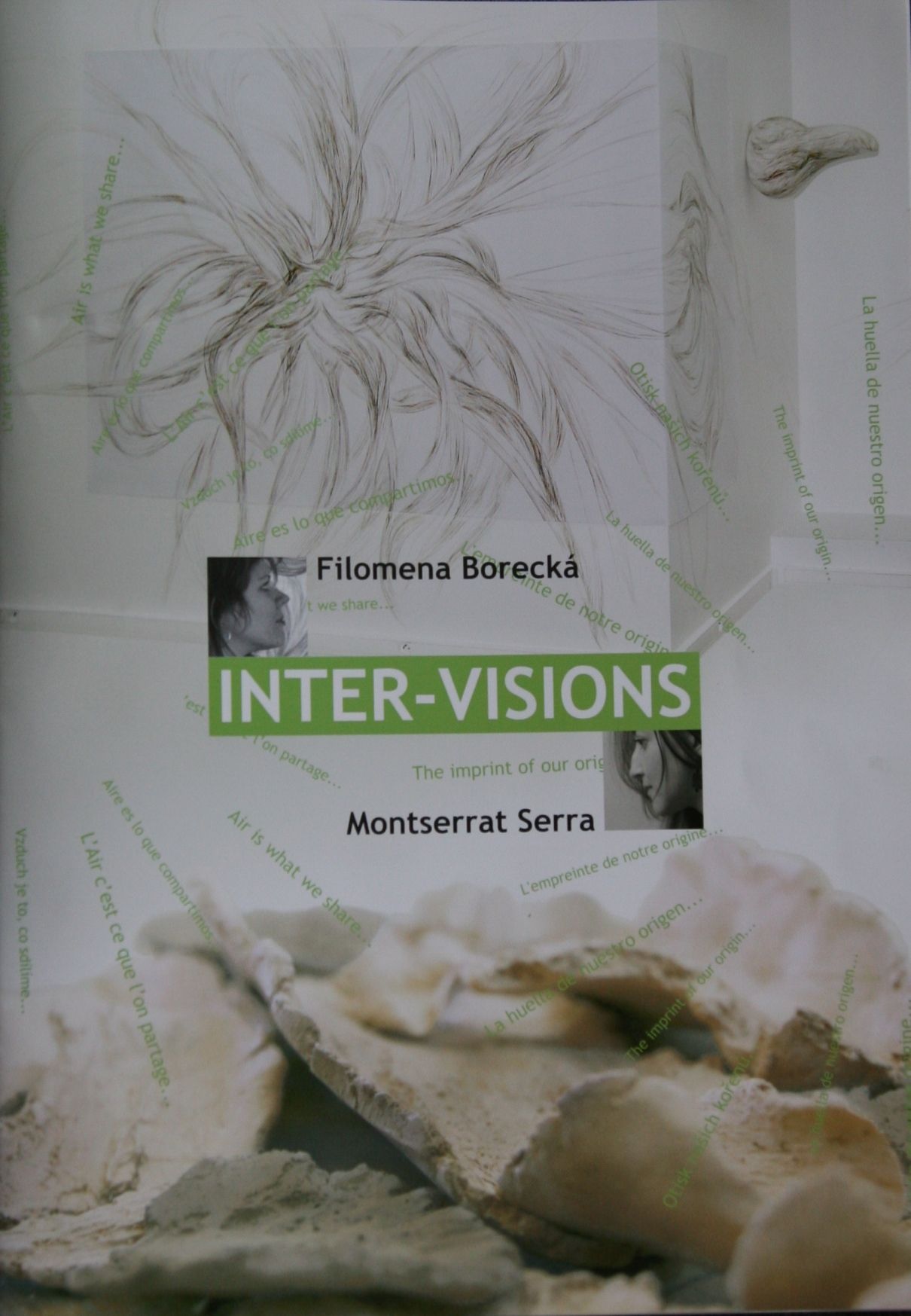 Inter - visions