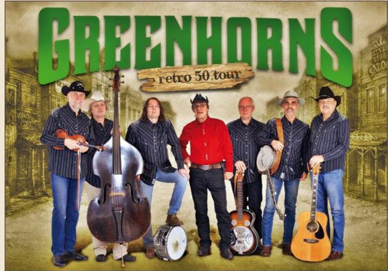 Koncert skupiny Greenhorns