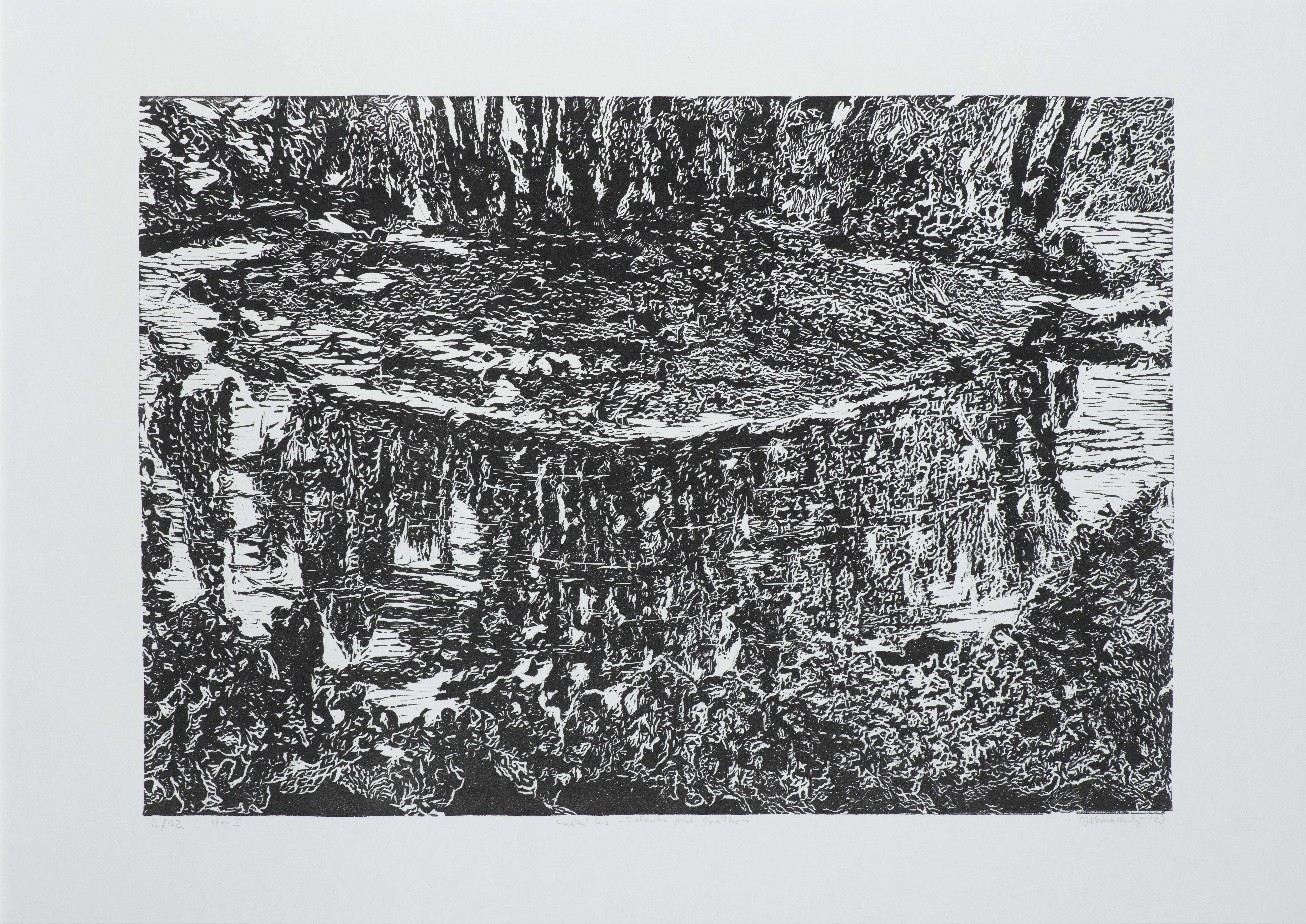 Jiří  Vohradský, Lužní les, 2023